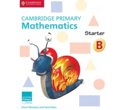 Cambridge Primary Mathematics Starter Activity Book B